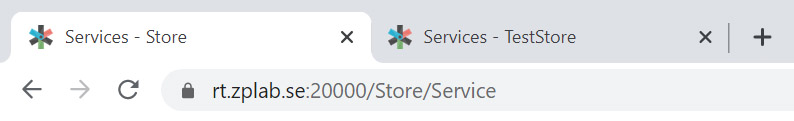 Store name in browser tabs
